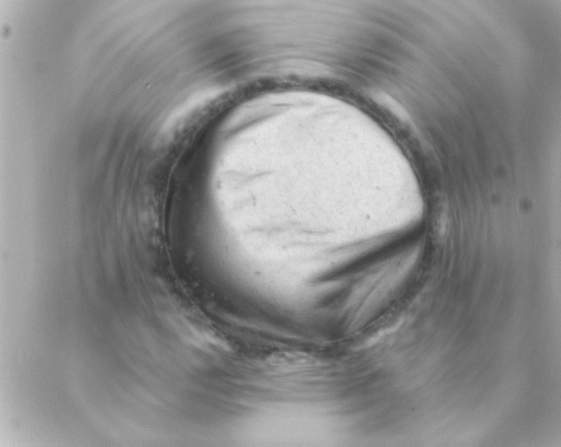 X0000088651112200706152000