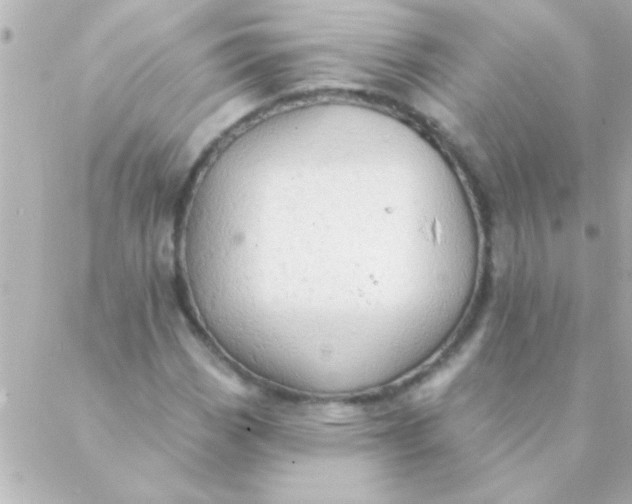 X0000088651113200706152000