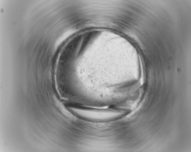 X0000088651114200706152000