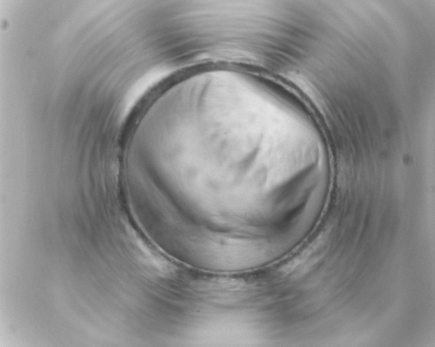 X0000088651115200706152000