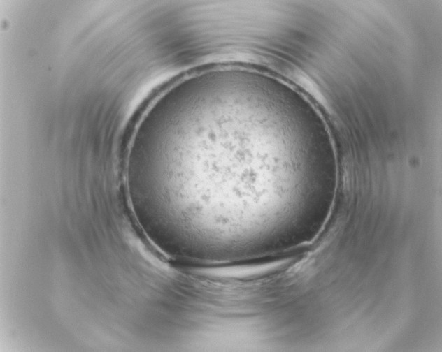 X0000088651116200706152000