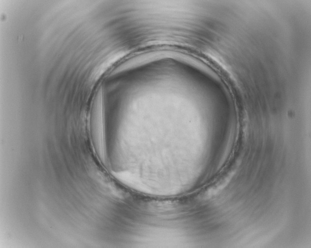 X0000088651121200706152000