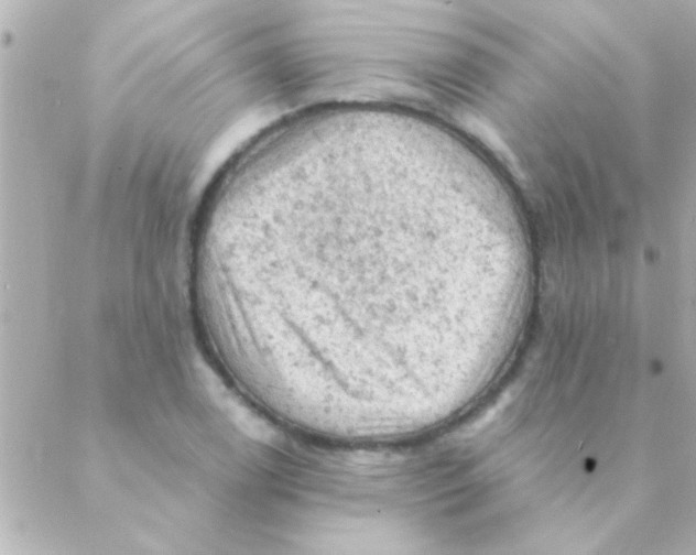 X0000088651122200706152000