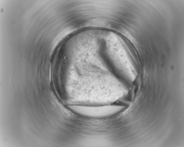 X0000088651123200706152001