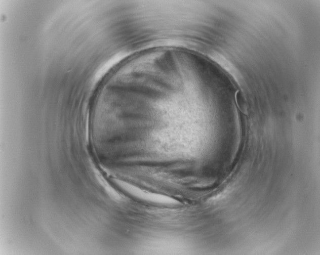 X0000088651127200706152001