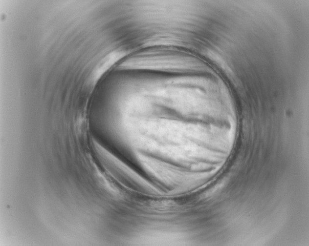 X0000088651129200706152001