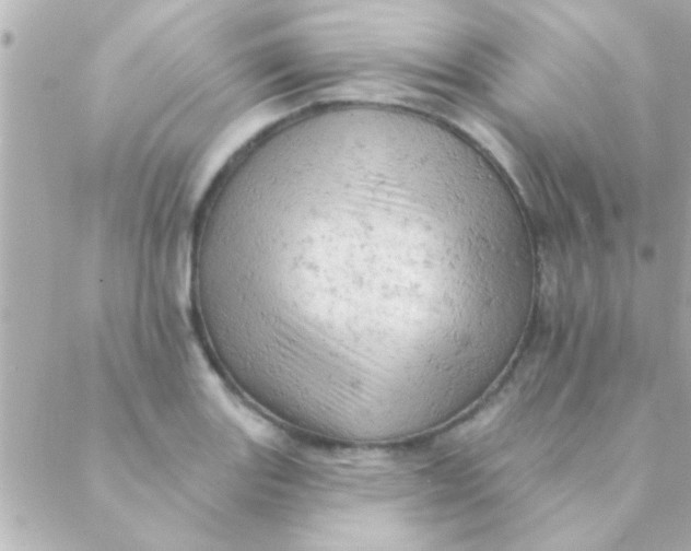 X0000088651131200706152001