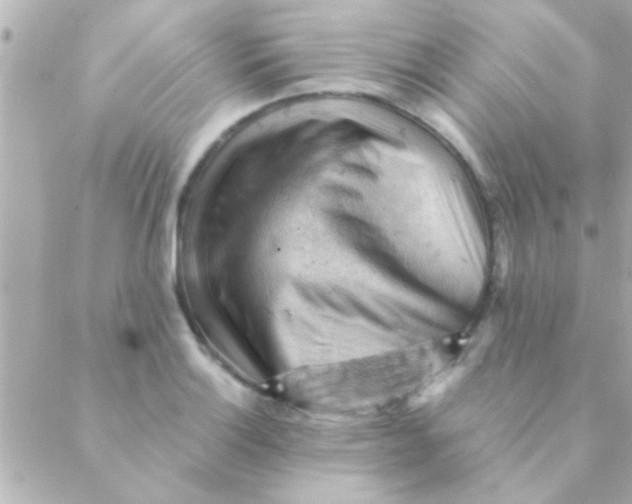 X0000088651132200706152001