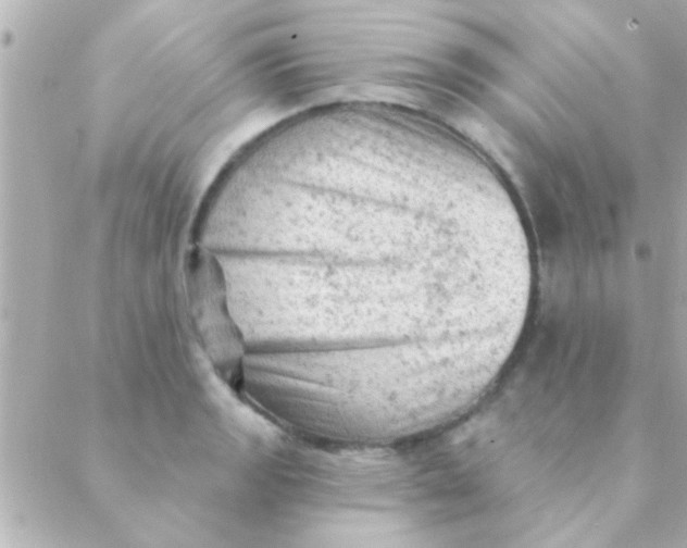 X0000088651133200706152001