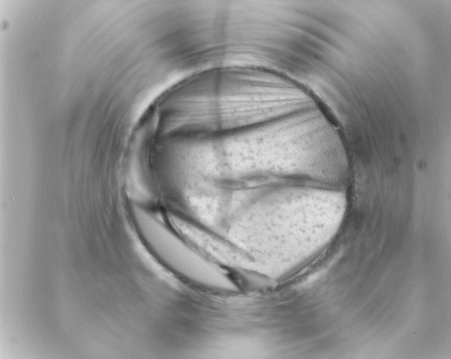 X0000088651134200706152001