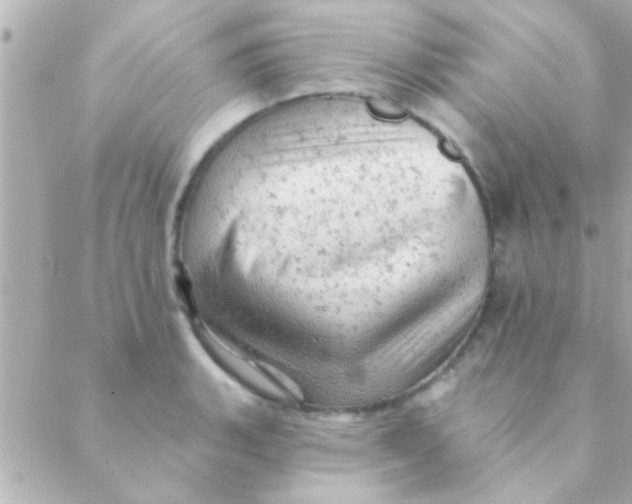 X0000088651135200706152001