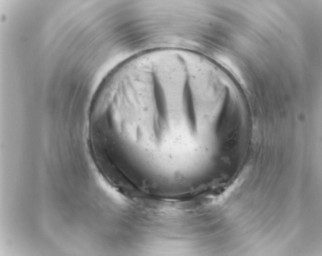 X0000088651136200706152001