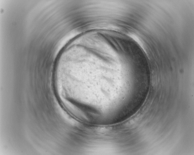 X0000088651139200706152001