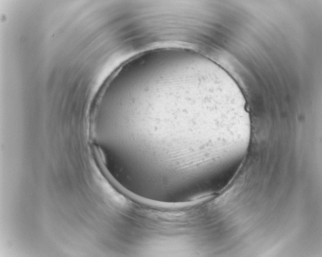 X0000088651140200706152001