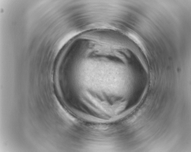 X0000088651141200706152001