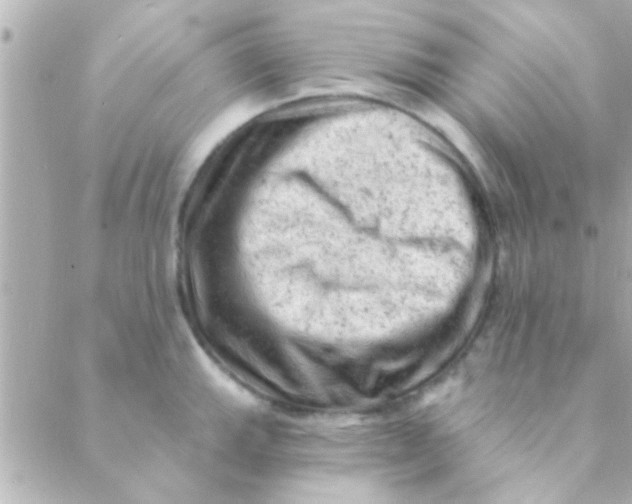 X0000088651143200706152001