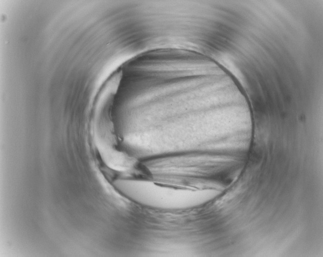 X0000088651144200706152001