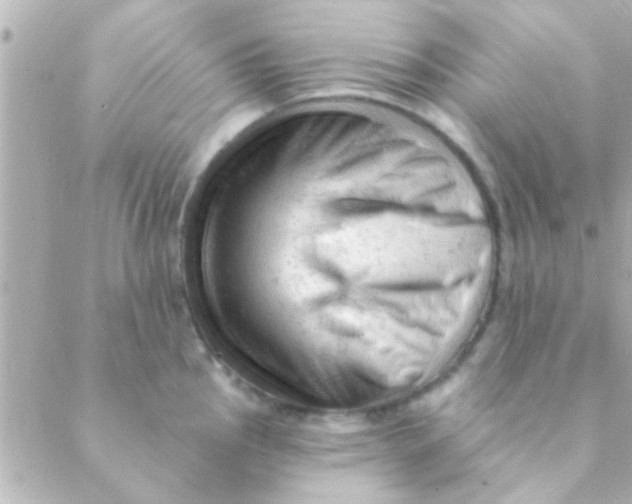 X0000088651145200706152001