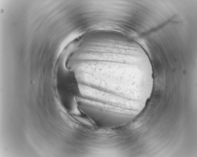 X0000088651146200706152001