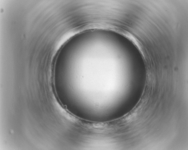 X0000088651147200706152001