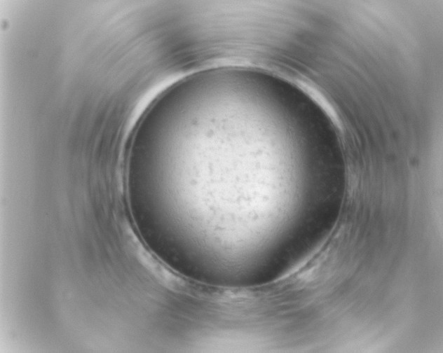 X0000088651148200706152001