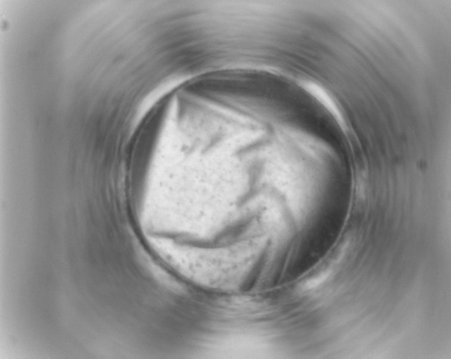 X0000088651149200706152001