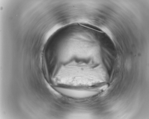 X0000088651151200706152001