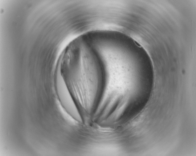 X0000088651152200706152001