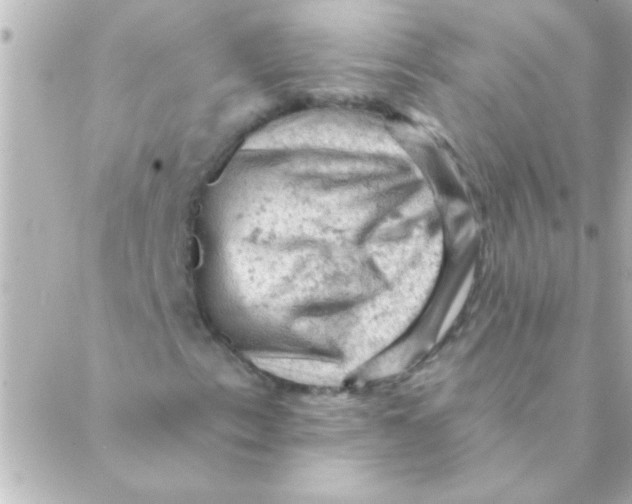 X0000088651153200706152000