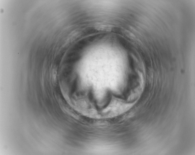 X0000088651154200706152000