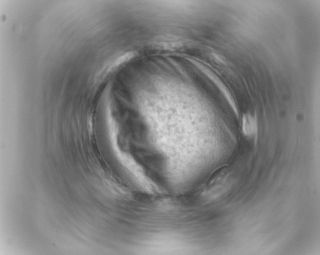 X0000088651155200706152000