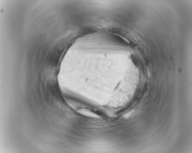 X0000088651156200706152000