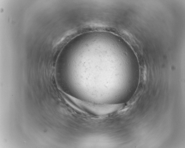 X0000088651157200706152000