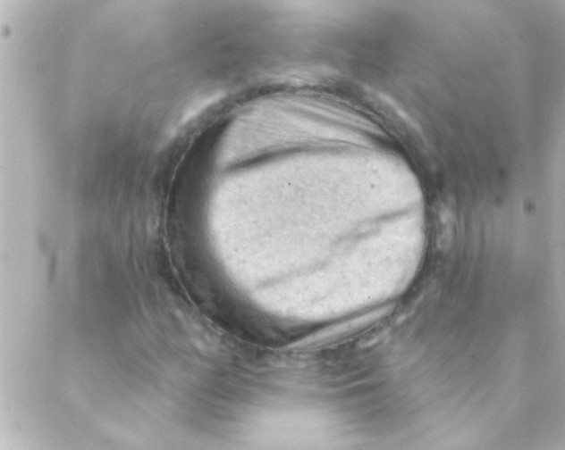 X0000088651158200706152000