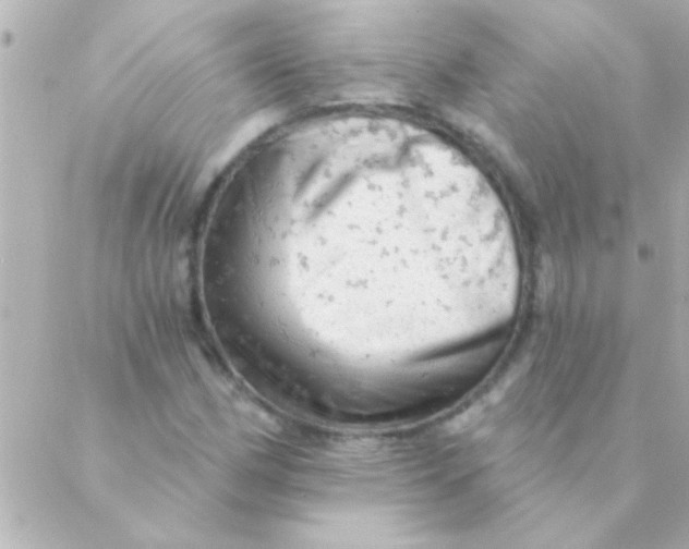 X0000088651162200706152000