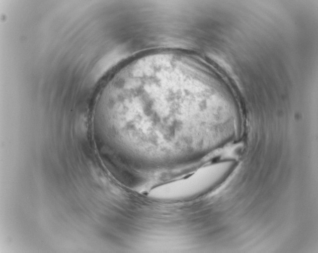 X0000088651163200706152000