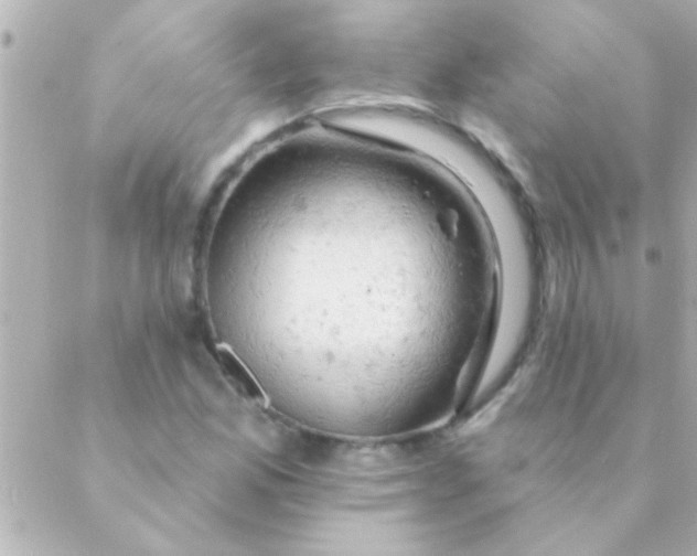 X0000088651165200706152000