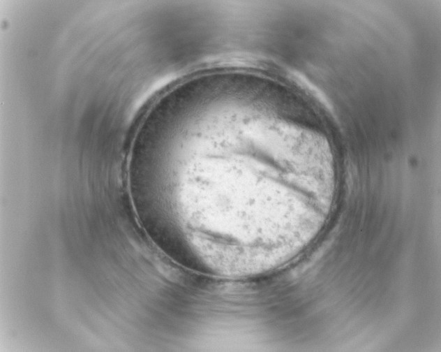 X0000088651166200706152000