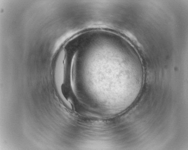 X0000088651167200706152000