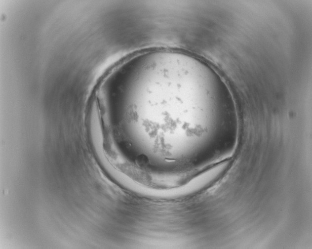 X0000088651168200706152000