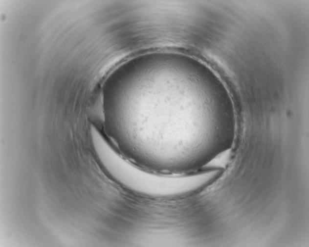 X0000088651169200706152000