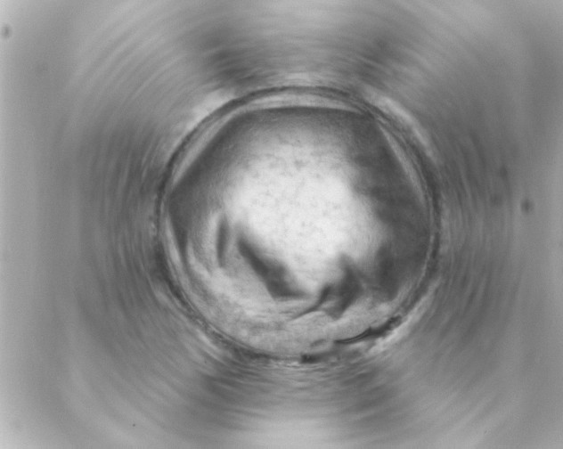 X0000088651170200706152000