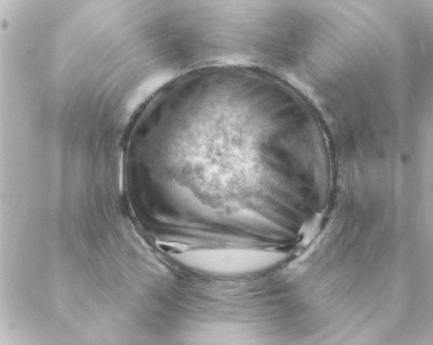 X0000088651171200706152000