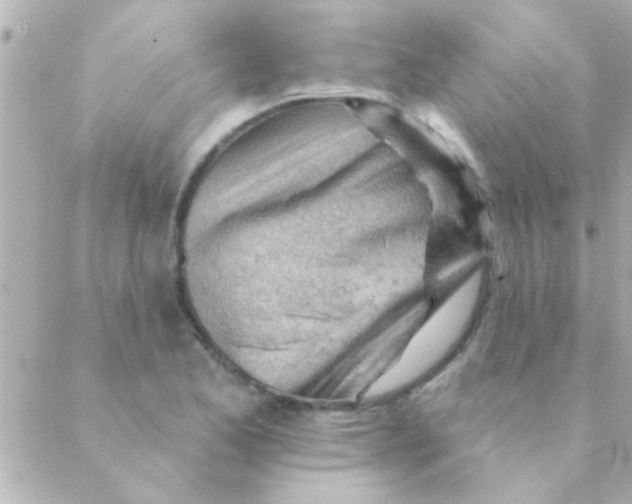 X0000088651173200706152000