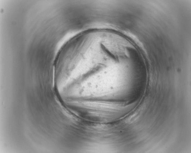 X0000088651175200706152000