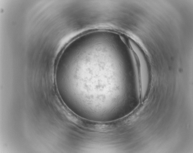 X0000088651176200706152000