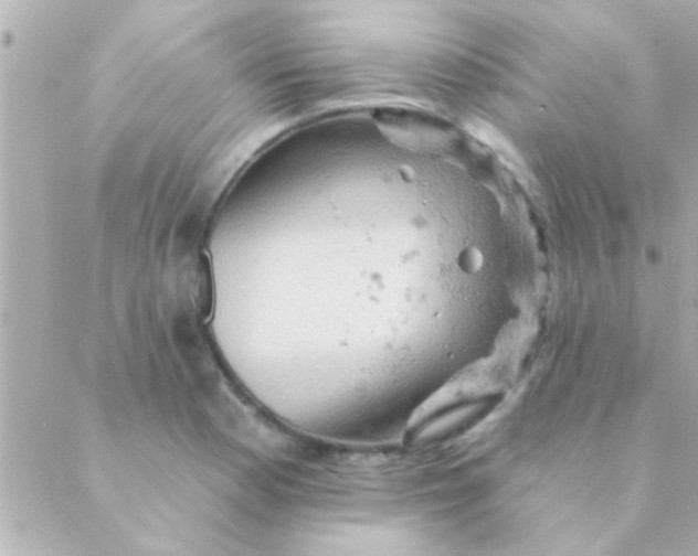 X0000088651177200706152000