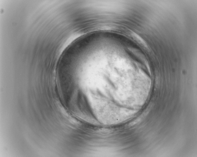 X0000088651178200706152000