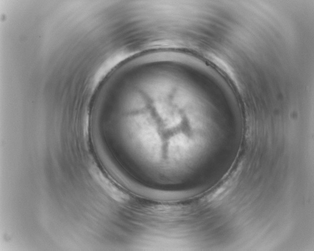 X0000088651179200706152000