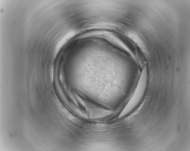 X0000088651180200706152000